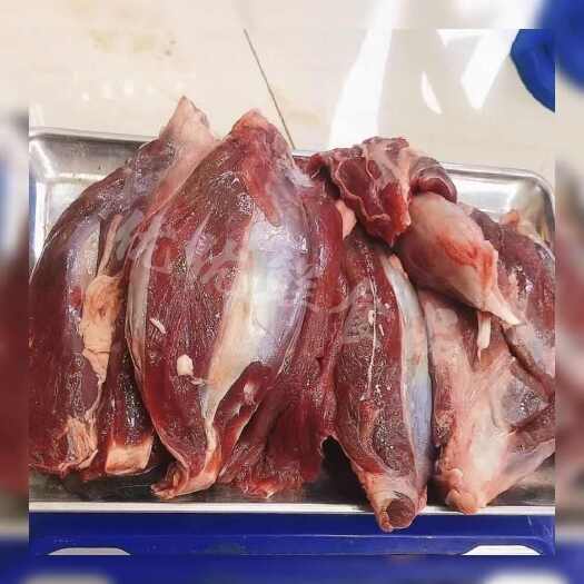 新鲜梅花鹿腱子 梅花鹿腿肉 现杀速冻鹿腿 鹿腱子生鲜肉包邮