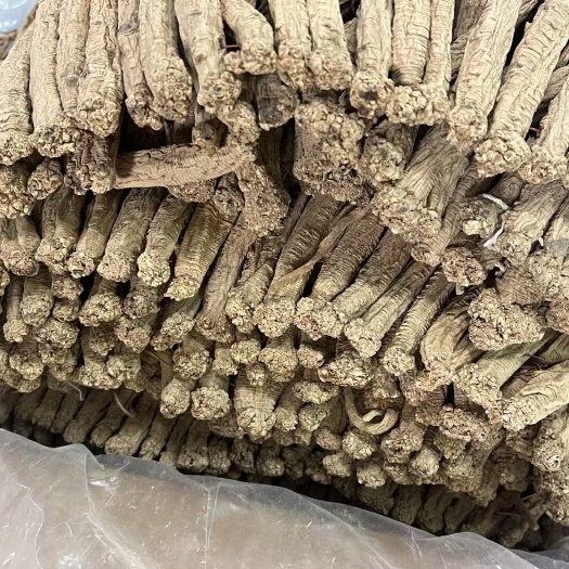 广州特大号无硫黄党参