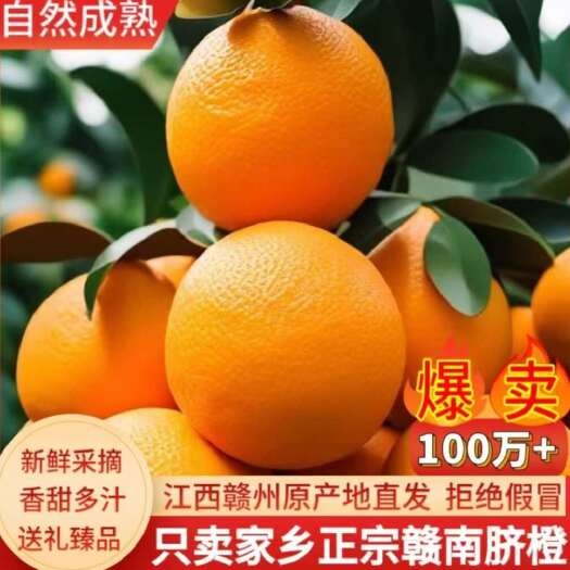 龙南市【甜】江西赣南现摘脐橙应季水果新鲜橙子超甜整箱批发