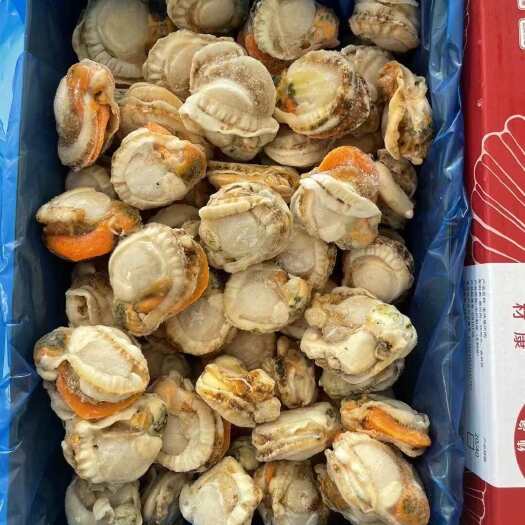 精品超大扇贝肉元贝肉鲜嫩好吃无沙无壳无冰夏贻贝肉夏夷贝肉