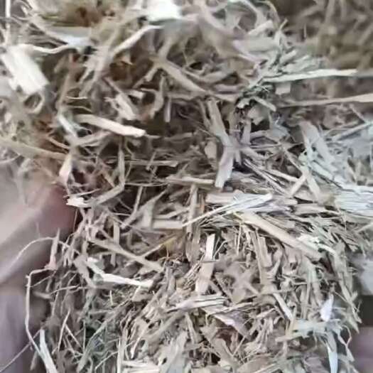 忻州玉米秸秆