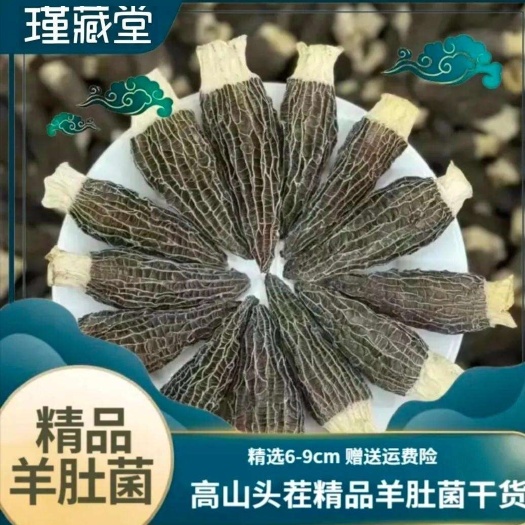 羊肚菌大货批发！价格美丽
