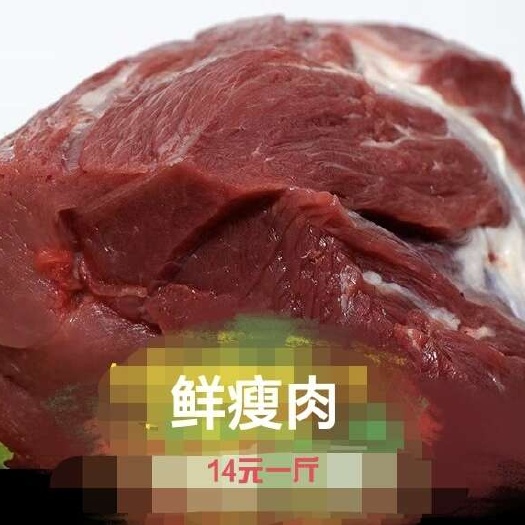猪前夹瘦肉  鲜后腿瘦肉（只供重庆主城）