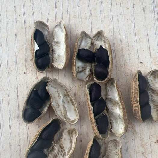 澜沧县黑花生 小颗粒黑花生