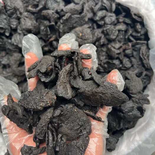 广州中号熟地切片