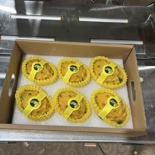 景洪市西双版纳燕窝果批发