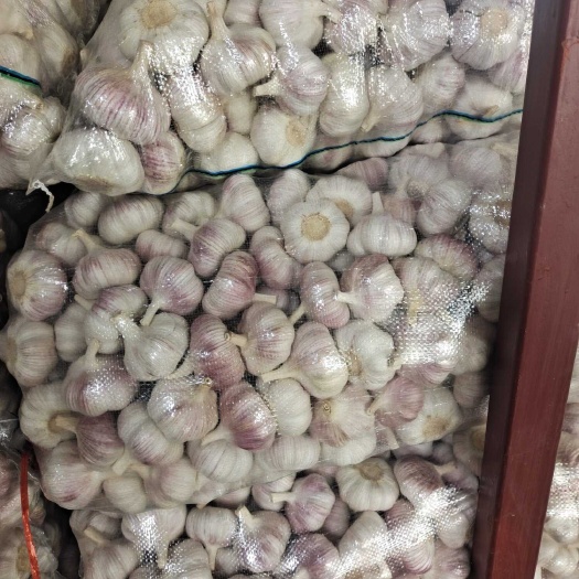 邳州市邳州精品大蒜，市场，电商，常年有货供应