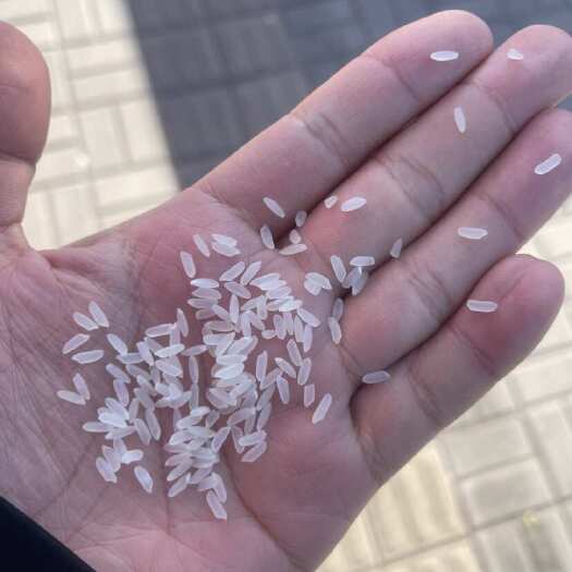 绥化黑龙江绥化河水大米