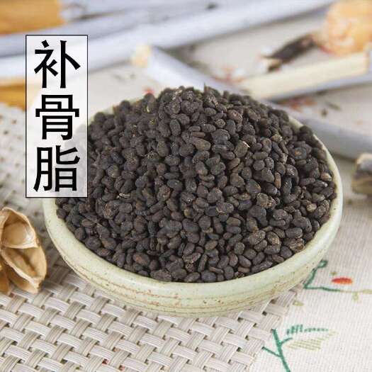 玉林补骨脂 中药材 天然纯新货 干净饱满 补骨脂粉破故纸胡韭子5