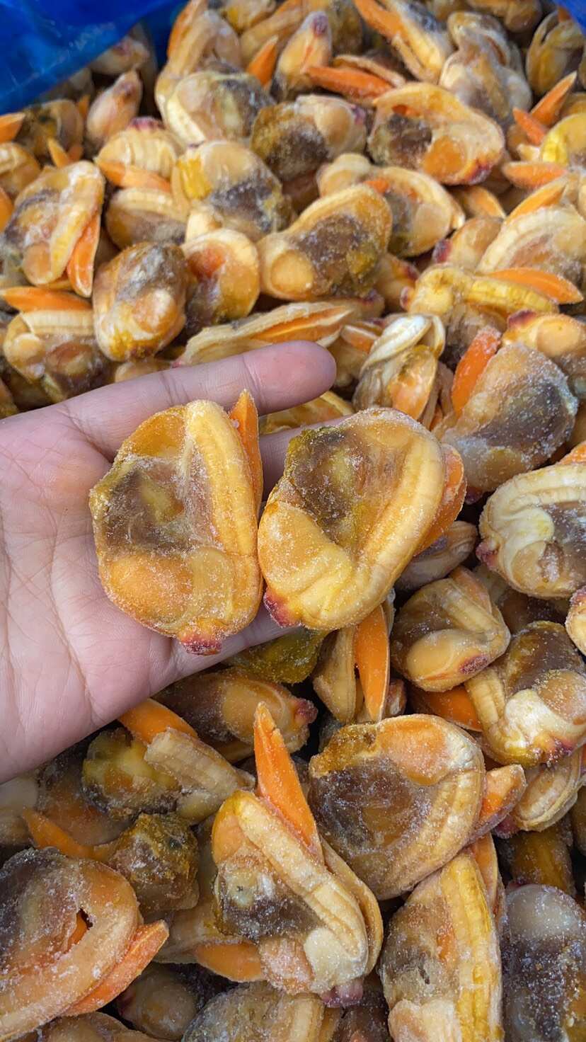 新货超大文贝肉文蛤捞汁小海鲜食材去壳蚬子肉大蛤蜊肉文蛤蜊文哈