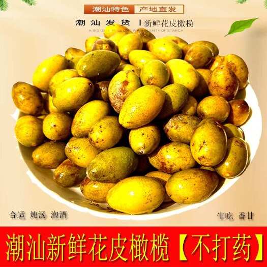 饶平县潮汕特产现摘新鲜香种黄色橄榄檀香生吃甘香浓郁泡酒孕妇煲汤腌制