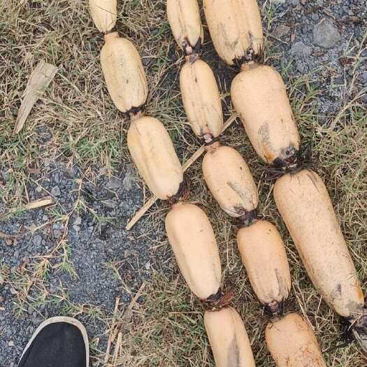 济宁暖瓶 6号自产自销