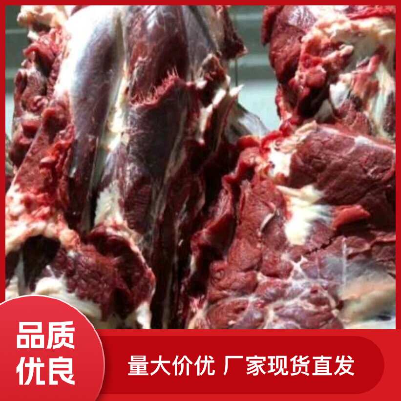 纯干鲜宰鲁西黄牛肉  质量保证  一手货源