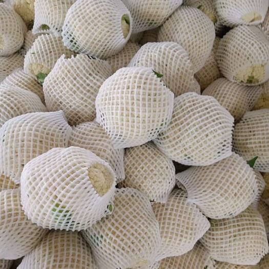 三原县陕西省咸阳市三原县新鲜白花菜花蔬菜直供