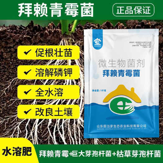 诸城市正品拜赖青霉菌微生物菌剂枯草芽孢杆菌淡紫紫孢菌土壤调节剂