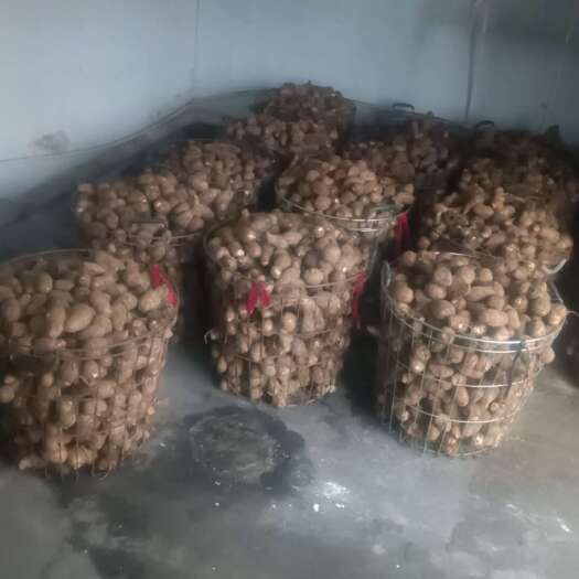 莱阳市好通货大量有货，有要的提前预定。