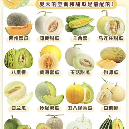 莘县山东聊城莘县甜瓜 根据客户需求供应不同等级熟度和包装水果批发