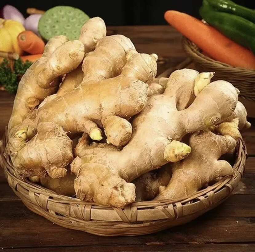 水洗风干生姜有需要的老板联系