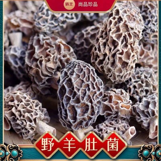 【新品】野生羊肚菌干货特产野生菌剪柄精选羊肚菌野生磨菇野生菌