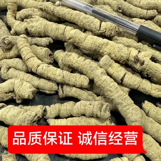 昆明巴戟天 巴戟肉产地一首货源 价格货源充足稳定规格齐全品质保证