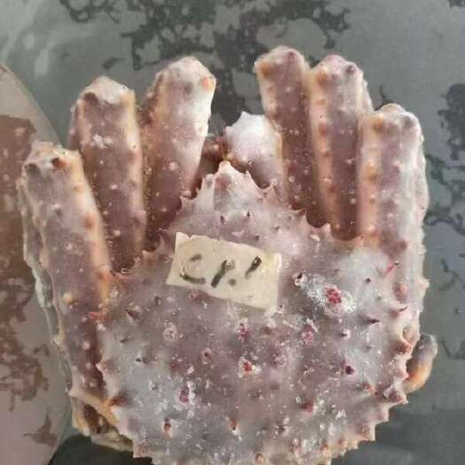 珲春市活冻帝王蟹，蒸出来肉质跟活的一样