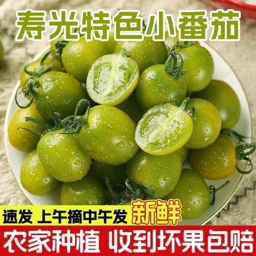 寿光市小西红柿 青甜 吣甜 唐伯虎 番茄