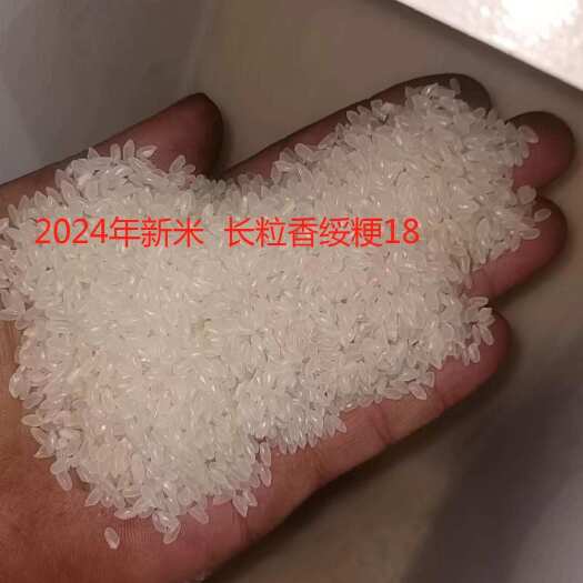 龙江县黑龙江齐齐哈尔一等粳米长粒香 新鲜直达