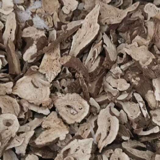 亳州白术中药材白术蜂窝眼白术