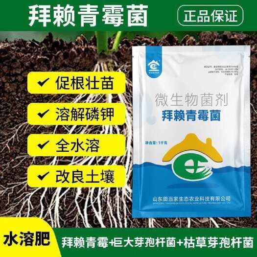 诸城市正品拜赖青霉菌微生物菌剂枯草芽孢杆菌淡紫紫孢菌土壤调节剂
