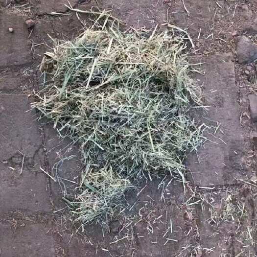 黄骅市柔丝青干草
