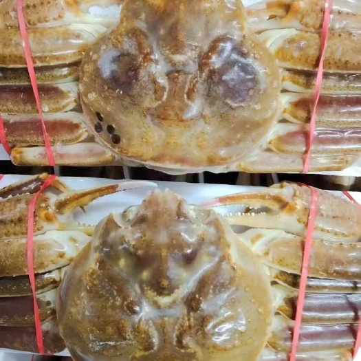 珲春市活冻板蟹（松叶蟹），高品质，肉质鲜美饱满。蒸出来跟活一样