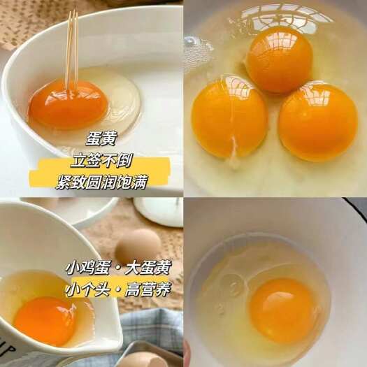 杭州长期出售各种型号的鸡蛋，粉蛋，红壳蛋，乌鸡蛋等等