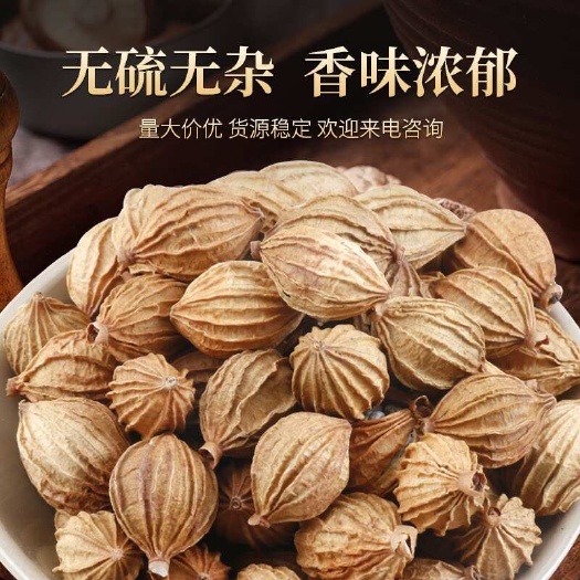 四川香砂贵州香沙 开口少 饱满色泽好 香料大全 批发零售