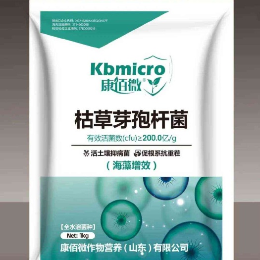 高唐县枯草芽孢杆菌200亿/克提高抗逆性