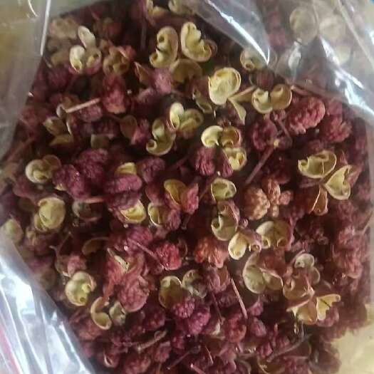 成都花椒