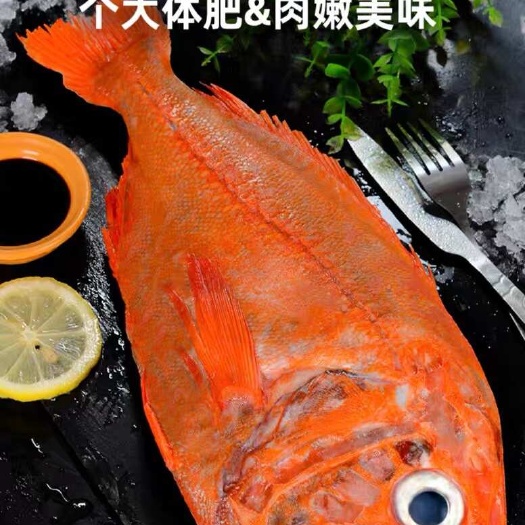 烟台1.5-2公斤每条 长寿鱼深海长寿鱼新西兰富贵鱼礼盒食材