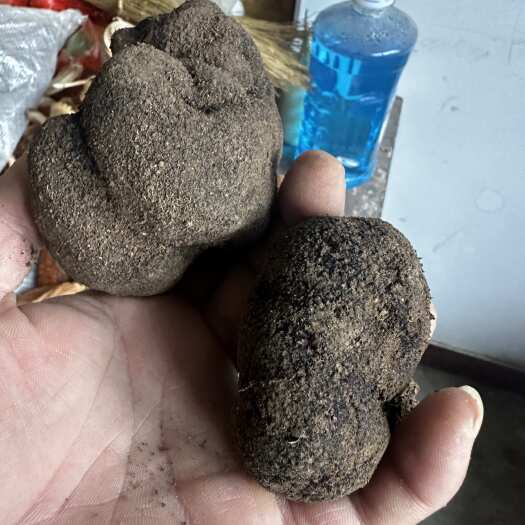 滦平县通货，精品货另计