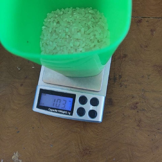 武汉湖北晚粳稻