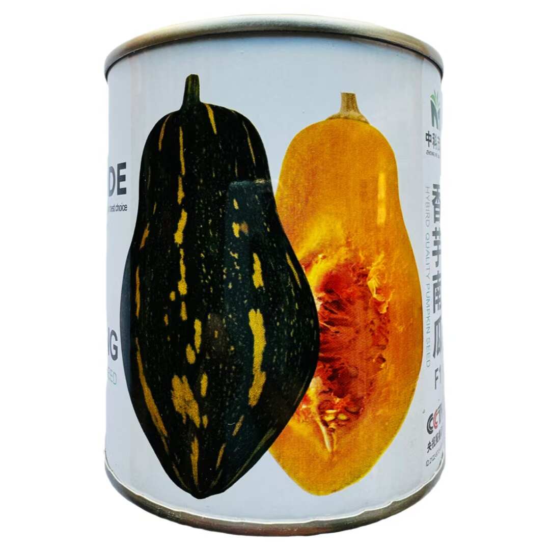 中科茂华香芋南瓜种子