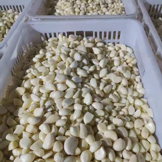 兰陵县精品市场米，可接保鲜，冷冻，有需要的老板来问