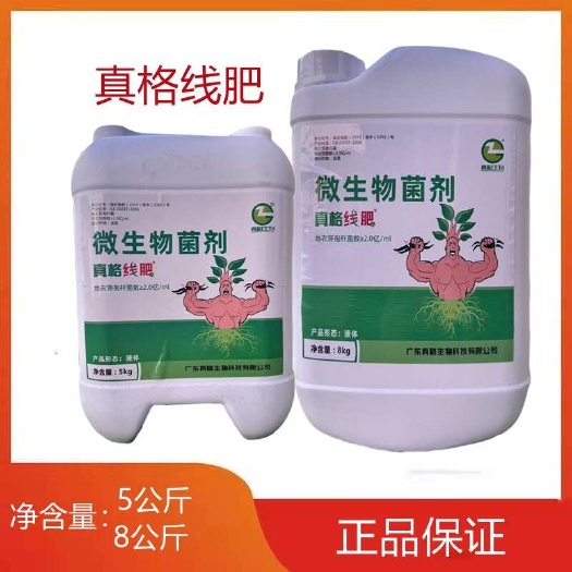临沂广东线肥杀线虫多肽微生物菌剂地衣芽孢杆菌超敏蛋白海藻酸肥