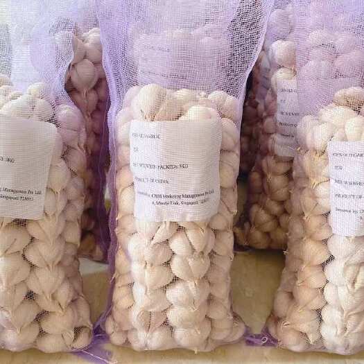 兰陵县山东临沂白皮蒜 新鲜采摘 保证品质在当地做了十年老店