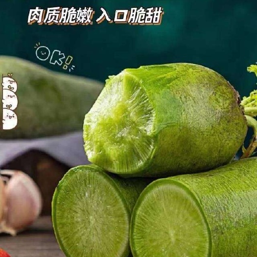 昌乐县山东七星水果绿萝卜5斤装 9斤装皮薄肉厚，微辣口感，嘎嘣脆