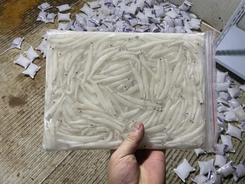 银鱼、批发零售