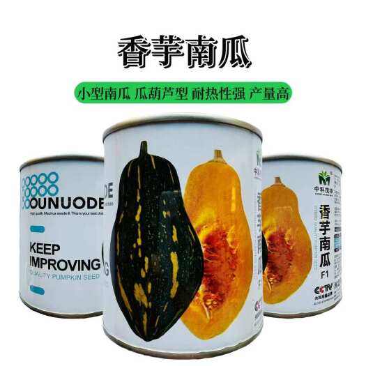 沭阳县中科茂华香芋南瓜种子