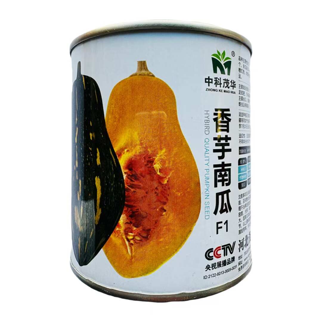 中科茂华香芋南瓜种子