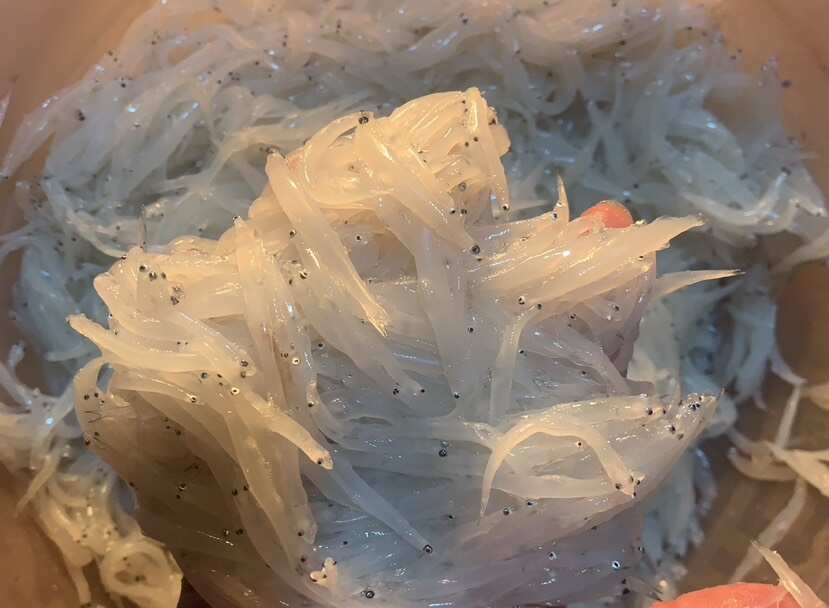 银鱼、批发零售