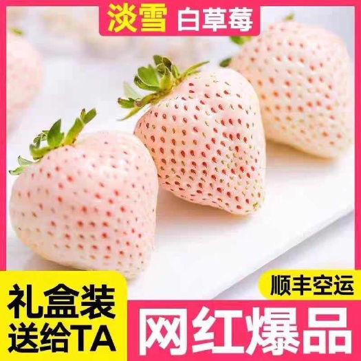淡雪草莓 顺丰包邮 白雪公主白草莓礼盒装高端水果 一件代发