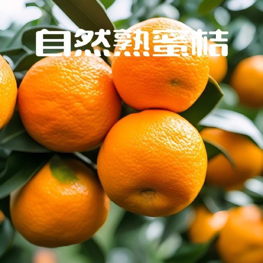 江西新余蜜桔产地直发