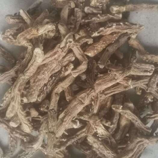 平山县中药材知母，品质保证 河北平山直供 石家庄发货 快速配送